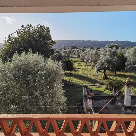 Ferienhaus Casa Da Papoila Abrantes