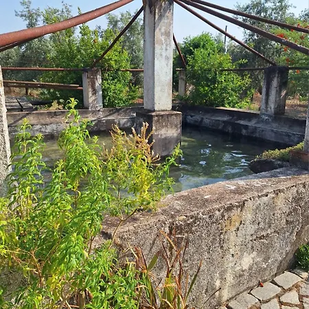 Hébergement de vacances Casa Da Papoila