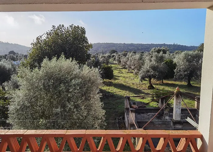 Semesterbostad Casa Da Papoila Abrantes